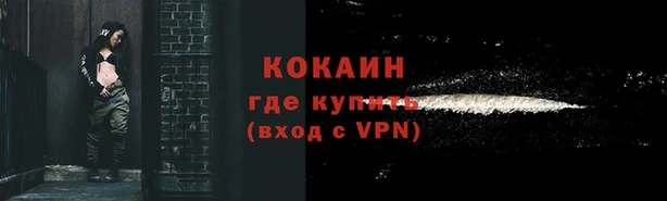 спайс Рославль